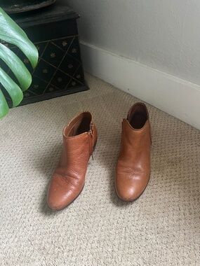 Sam Edelman Petty ankle booties